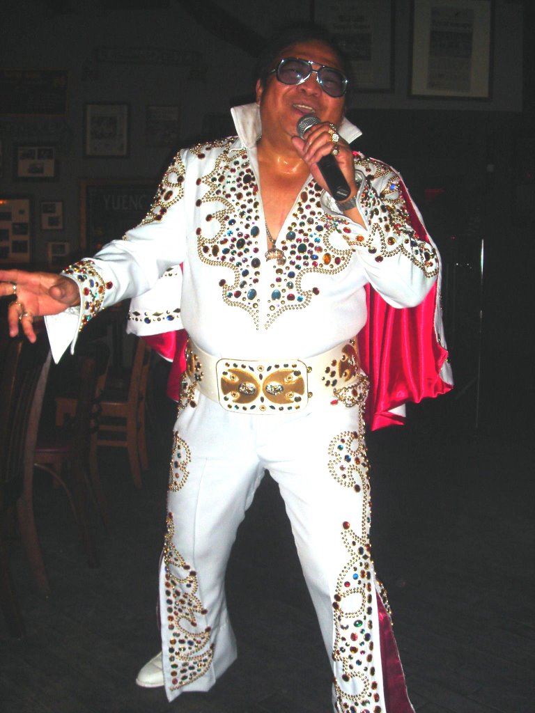 Fat Elvis Costumes 44